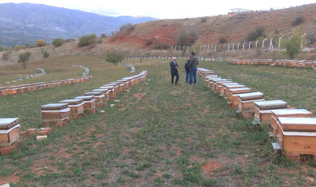 Korona virüs sonrası talep arttı, litresi 2 bin lira