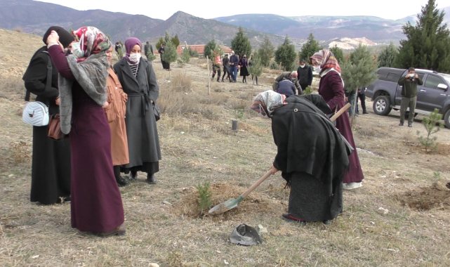 11 Kasım Milli Ağaçlandırma Gününde Turhal’da Fidan Dikildi.