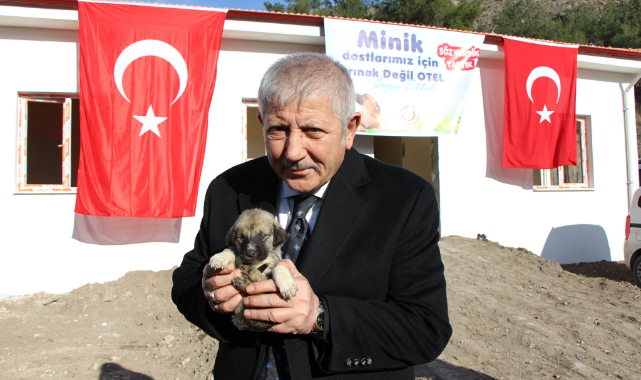Amasya Belediyesi sokak hayvanları için otel yapıyor
