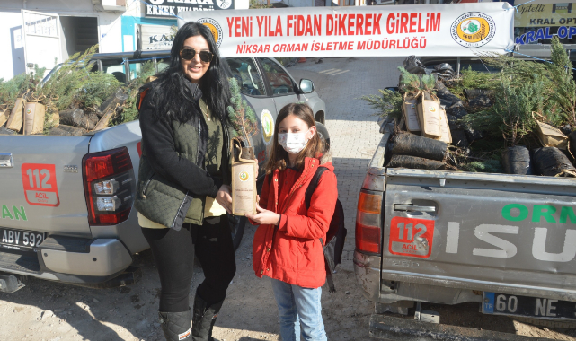 Niksar'da yılbaşı öncesi bin adet fidan dağıtıldı