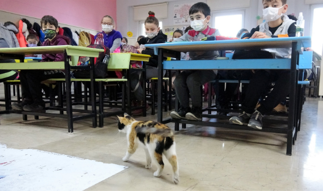 Okula sığınan
