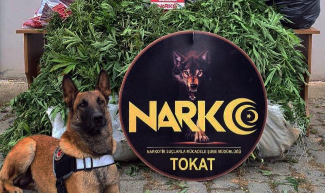 Uyuşturucuya geçit yok