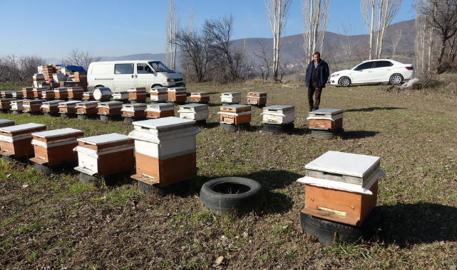Tokat’ta, kovanlar içindeki arılarla birlikte çalındı
