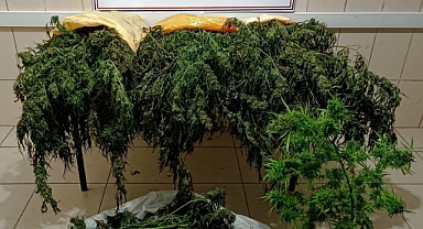 Jandarmadan uyuşturucu ve kaçakçılık operasyonları: 65 gözaltı