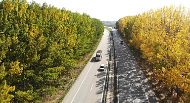 Karayolunda sonbahar koridoru