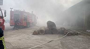 Kereste fabrikasında yangın