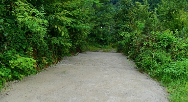 Ordu'da engelli ve yaşlı kadının ulaşım sorunu çözüldü