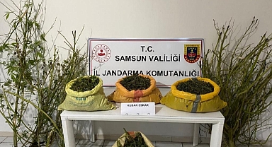 Samsun'da 25 kilo 750 gram kubar esrar ele geçirildi