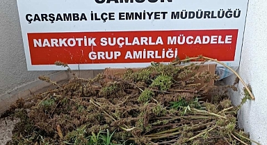 Samsun'da 9 kilo 975 gram esrar ele geçirildi: 8 kişi gözaltına alındı
