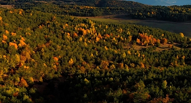 Tokat'ta sonbahar renkleri