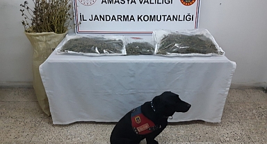 Amasya'da uyuşturucu operasyonunda yakalanan zanlı tutuklandı
