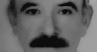 Ceviz ağacından düşen şahıs hayatını kaybetti