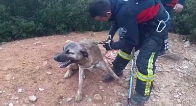 Definecilerin açtığı çukura düştü, itfaiye kurtardı