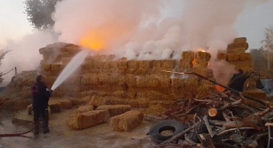 Suluova'da 50 ton saman alevlere teslim oldu