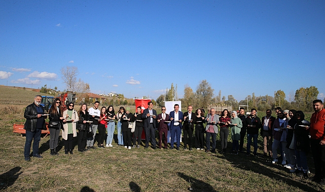 Tokat'ta Afrikalı öğrenciler pancar hasadına katıldı