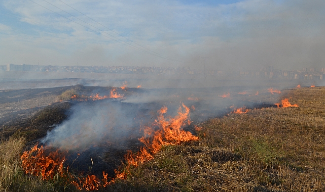 Tokat'ta anız yakan 3 kişiye idari para cezası verildi