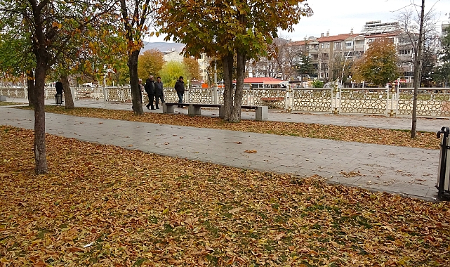 Tokat'ta sonbahar yapraklarının süpürülmesi yasaklandı