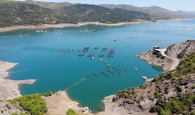Tokat’tan Rusya’ya somon ihracatı