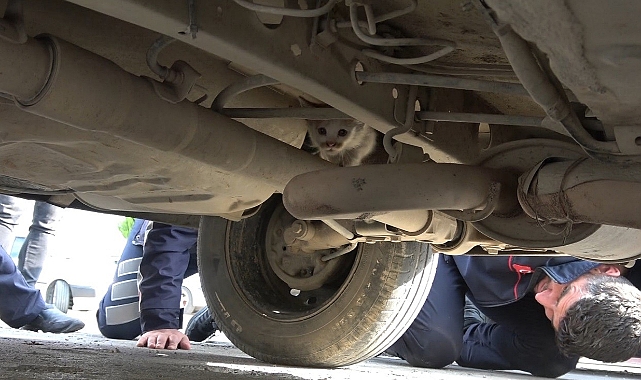 Otomobilin motor kısmına girdi, dönerin kokusunu alınca çıktı