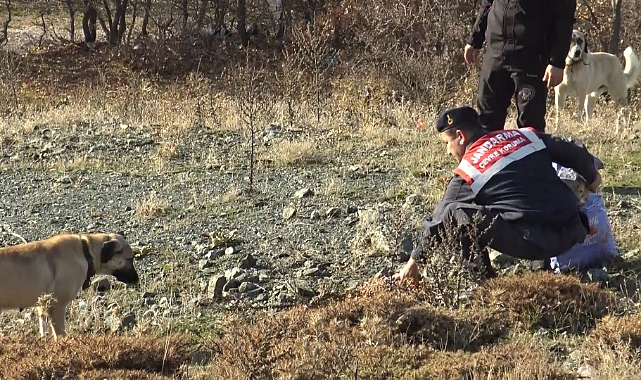 Tokat'ta off-road pilotları yaban hayvanları için doğaya yem bıraktı
