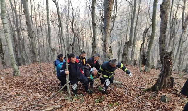 Tokat’ta otomobil uçuruma devrildi, yaralılar güçlükle kurtarıldı