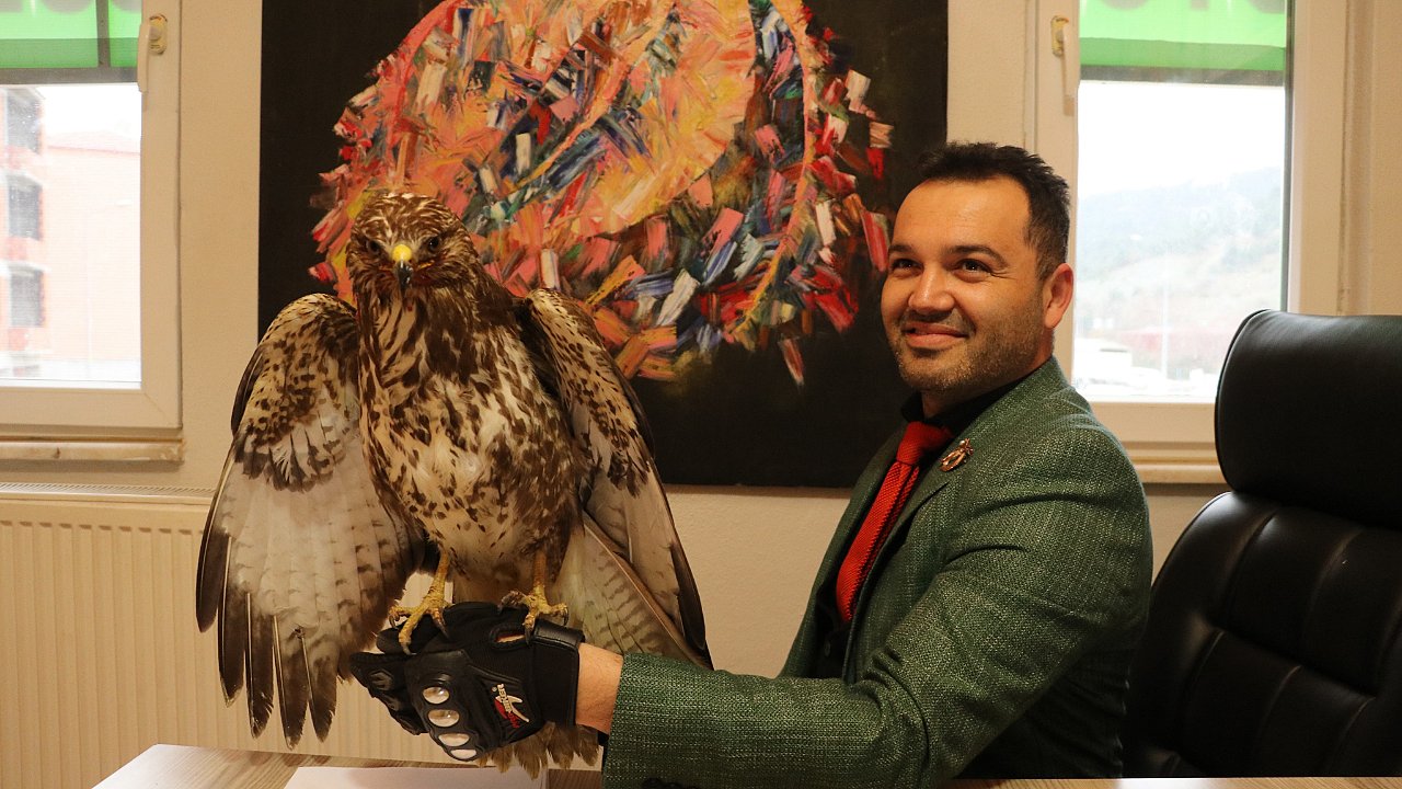 Yaralı bulduğu şahine ‘Tofaş’ adını verdi