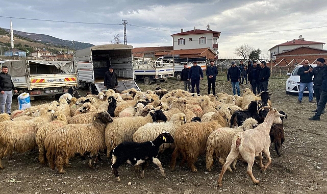 Keçileri yanan çiftçiye destek gecikmedi