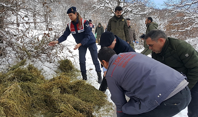 Yaban hayvanları unutulmadı