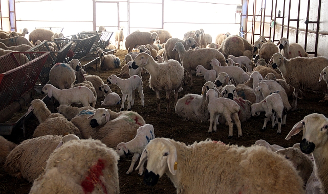 Bilimsel çalışmalar için kurulmuştu, elde edilen gelir burs olarak verilecek