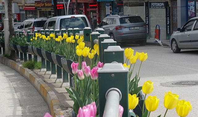 Caddeler laleler ile donatıldı, oluşan görsel şölen dikkat çekti