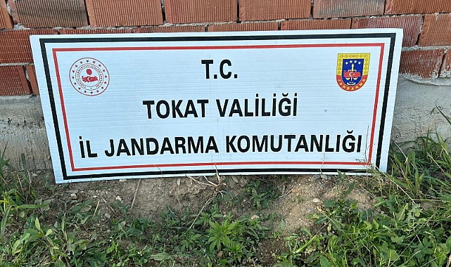 Erbaa'da bahçesinde Hint keneviri yetiştiren 2 zanlı yakalandı