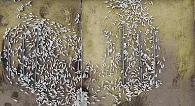 Kuzuların, anneleriyle renkli buluşması