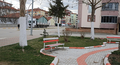 Tokat'ta muhtar mahallesindeki ağaçları kireçle boyayarak zararlılara karşı koruyor