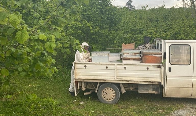 34 arı kovanını çalan hırsızlar kıskıvrak yakalandı
