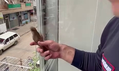 Boru içerisine sıkıştı, itfaiye kurtardı