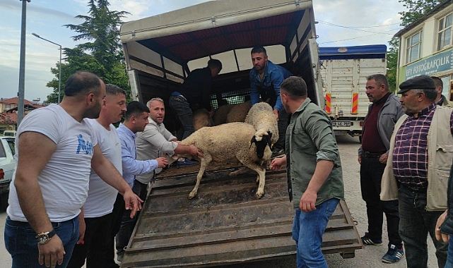 Mahalle muhtarı Cumhurbaşkanı Erdoğan için 7 küçükbaş hayvan kestirdi