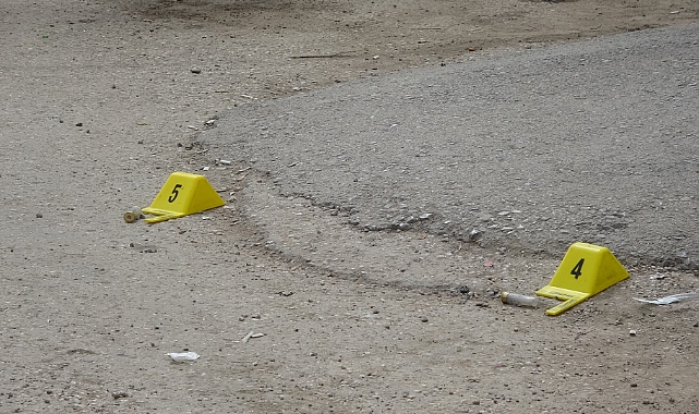 Tokat'ta bir kişinin bıçaklayıp av tüfeğiyle ateş ettiği şoför öldü