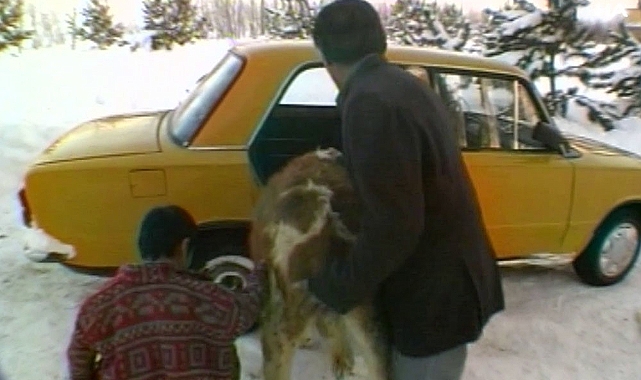 Bu görüntüler akıllara 21 yıl önce otomobilin arkasında taşınan Dana Ferhat'ı getirdi