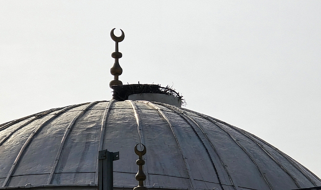 Cesaretiyle takdir topladı, dedeyi cami kubbesine tırmanırken görenler gözlerine inanamadı