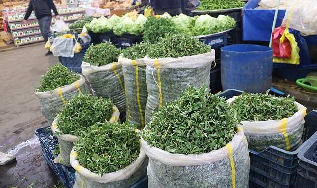Sivaslı kadınlar artık madımak toplamak yerine pazardan satın alıyor