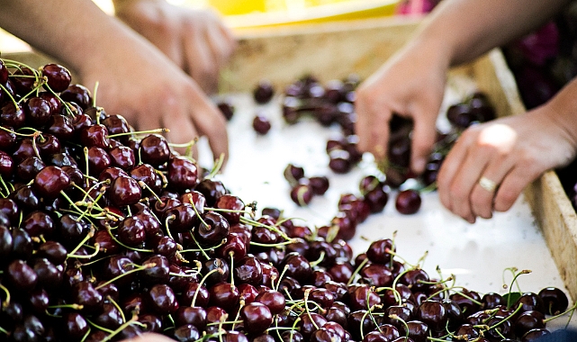 Türkiye, meyve üretiminde dünyada 4'üncü sırada