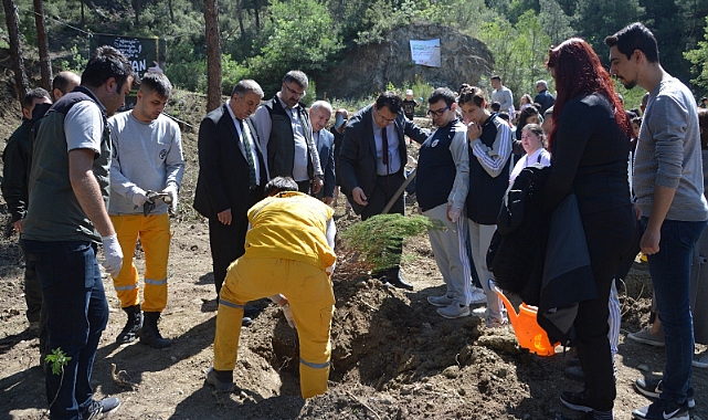 Çöp toplayıp fidan diktiler