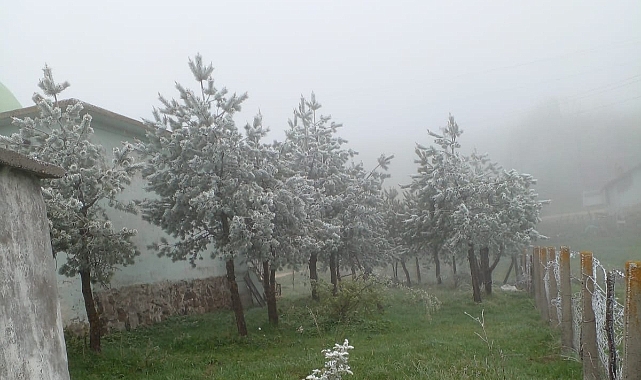 Tokat'ın yüksek kesimlerde kar yağışı etkili oldu