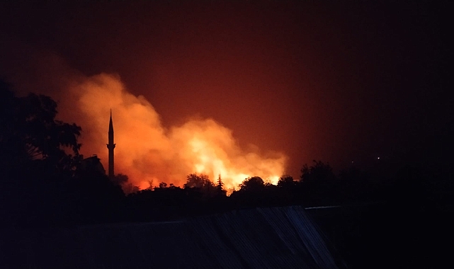 Niksar'da yıldırım düşen ekili tarla yandı