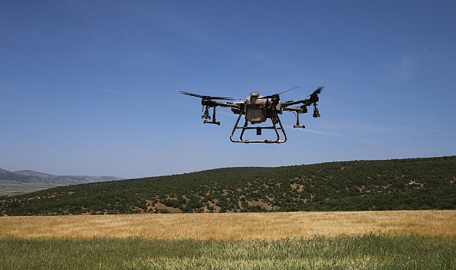 Tokat'ta dron alan çiftçi kendisinin ve diğer çiftçilerin ekili alanlarını ilaçlıyor