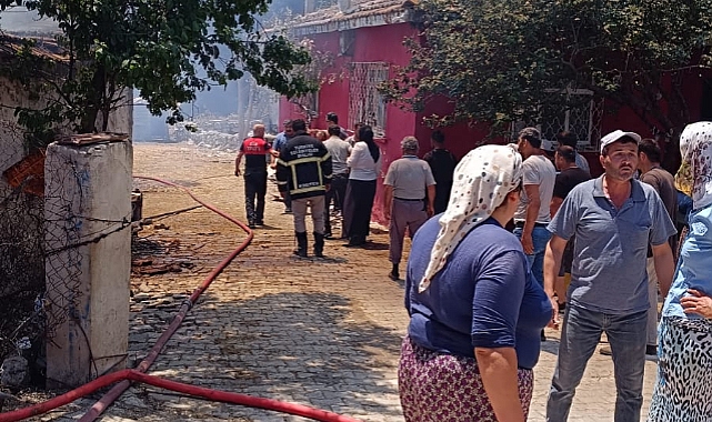 Zile'de çıkan yangında 2 büyükbaş hayvan telef oldu