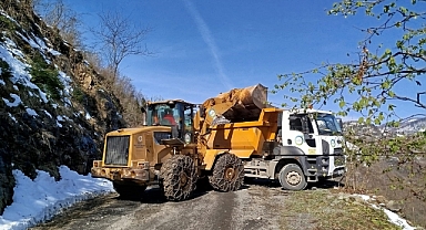 Ordu'da heyelanlı noktalara müdahale ediliyor