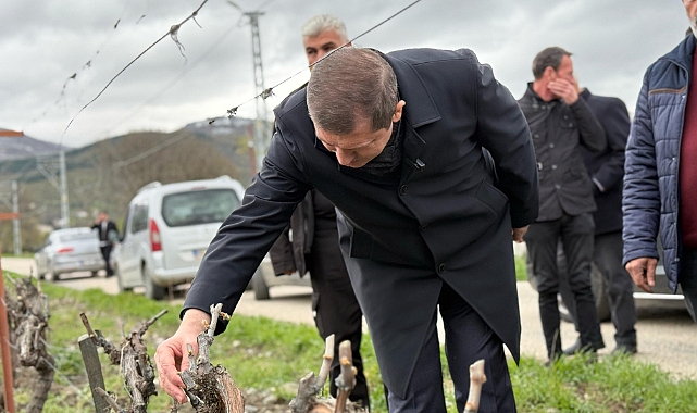 AK Parti Tokat Milletvekili Arslan, zirai dondan etkilenen köyleri ziyaret etti
