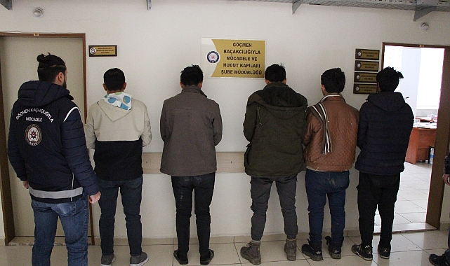 Amasya'da koyun taşıyan 2 tırdan 5 kaçak göçmen çıktı