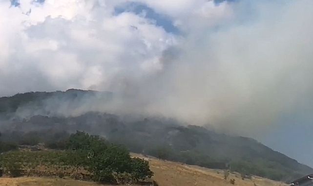 Niksar'da orman yangını, ekiplerin müdahalesi sürüyor